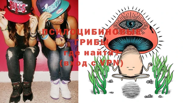 дмт Кулебаки