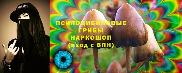 дмт Кулебаки
